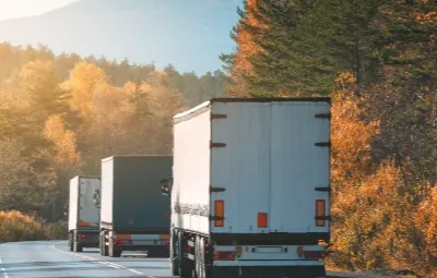 Konya Kiraz | Klima Taşıma